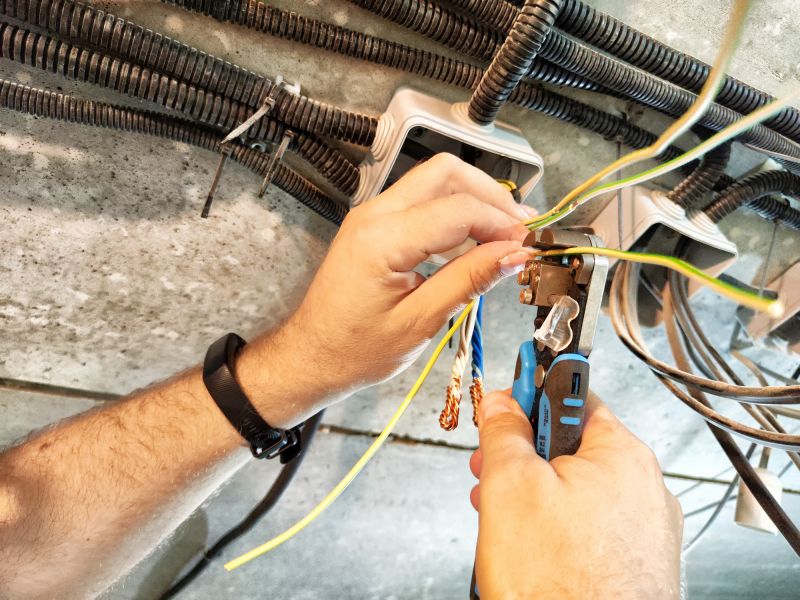 Electrician Conducting Inspection